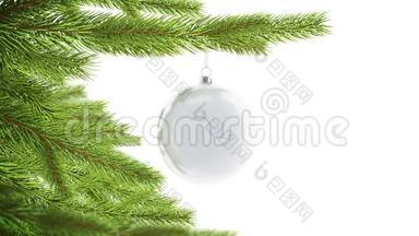 空白白色圣诞球挂在松树模型上，循环旋转